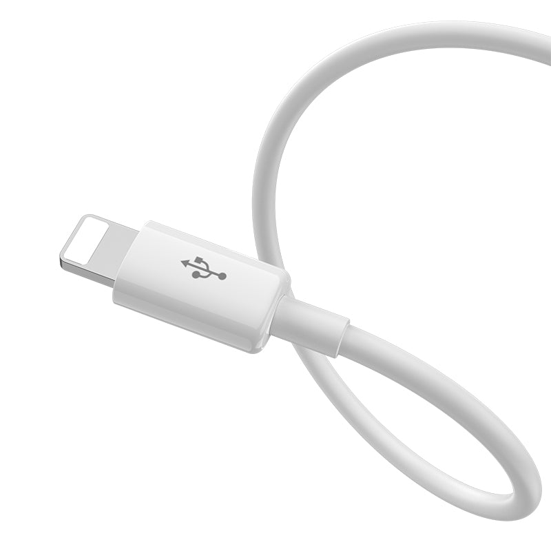 Pisen 2-in-1 Charging cable 1m Apple +Type-c charging cable